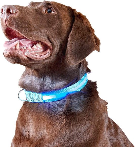 Dual untangling dog leash